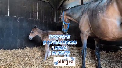 Willkommen petit QUINN FIGHTER: Papa KANADA - Mama INA FIGHTER (24.4.2026)