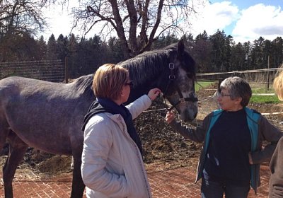 IMG 2813 Burgstallhof