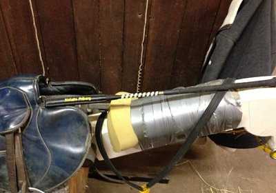 Burgstallhof-Besuch, 13.4.13