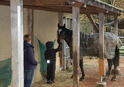 DSC00353 Burgstallhof 24nov13