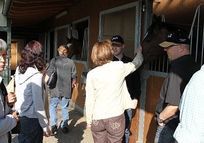 IMG 0040 600x400