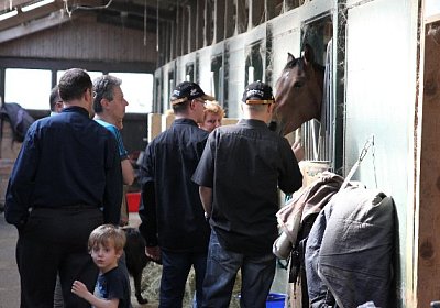 IMG 0070 600x400