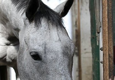 IMG 0103 600x400
