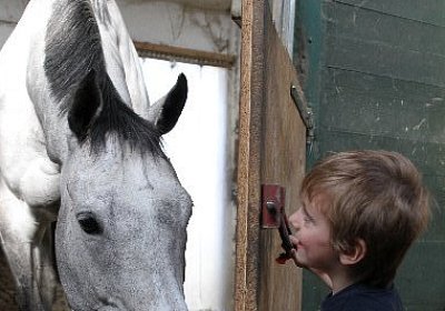 IMG 0104 600x400
