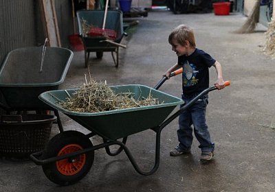 IMG 0114 600x400