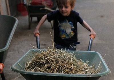 IMG 0116 600x400