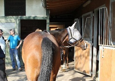 IMG 0120 600x400
