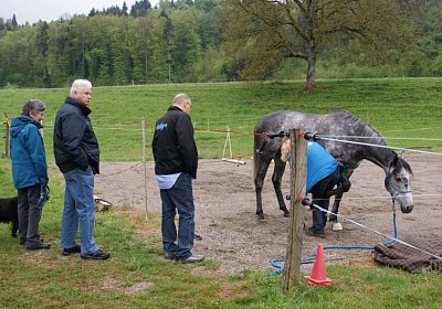 26april2014 GV Dielsdorf Fisibach Gitan Remedial etc DSC05201