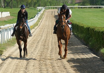 2018 04 22 GV und Training DSC08304 Cherry Dastary