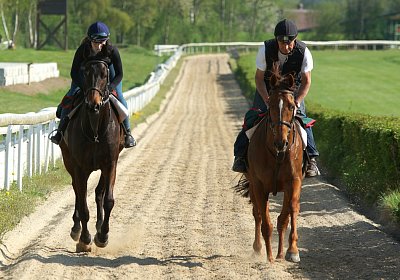 2018 04 22 GV und Training DSC08305 Cherry Dastary