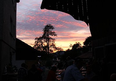 IMG 0326 800x533
