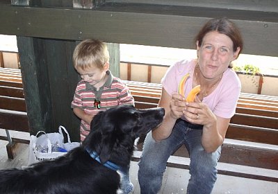 IMG 8021 600x400.jpg