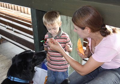 IMG 8022 600x400.jpg