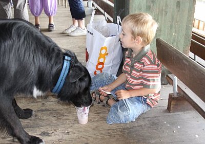 IMG 8038 600x400.jpg