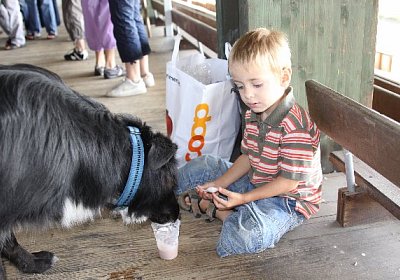 IMG 8039 600x400.jpg