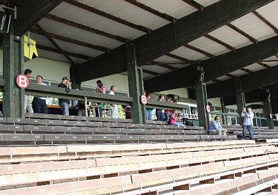 IMG 8042 600x400.jpg