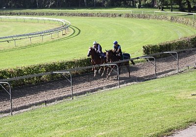 IMG 8044 600x400.jpg