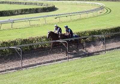 IMG 8047 600x400.jpg