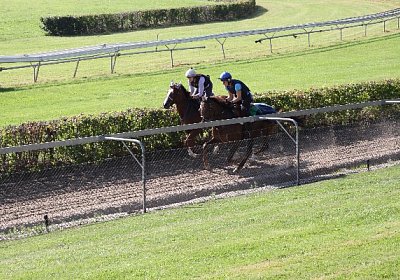 IMG 8048 600x400.jpg