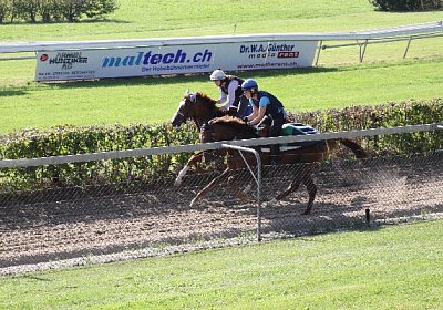 IMG 8049 600x400.jpg