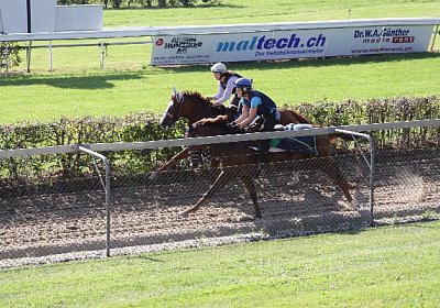 IMG 8050 600x400.jpg