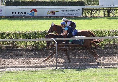 IMG 8053 600x400.jpg