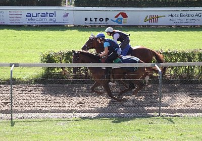 IMG 8054 600x400.jpg