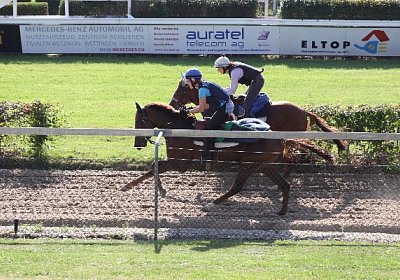 IMG 8055 600x400.jpg