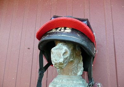 P1010415 533x400.jpg