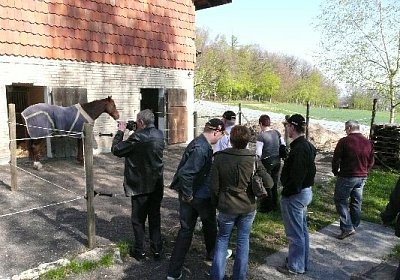 P1020956 533x400.jpg