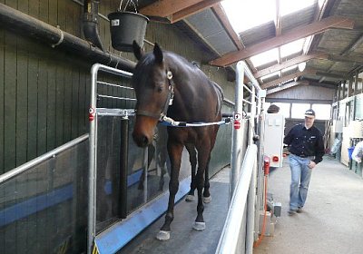 P1020999 533x400.jpg