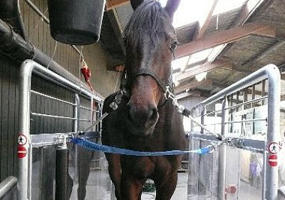 P1030001 533x400.jpg