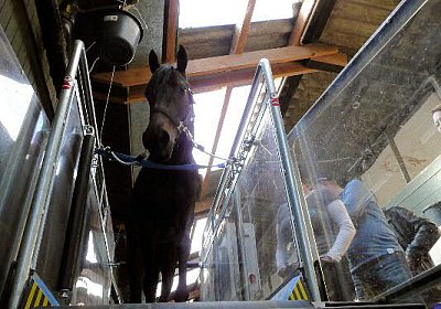 P1030018 533x400.jpg