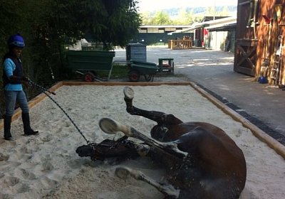 Sand Bambi 1