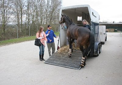 IMG 8909 600x400.jpg