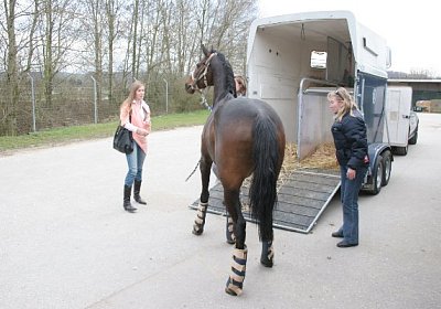 IMG 8912 600x400.jpg