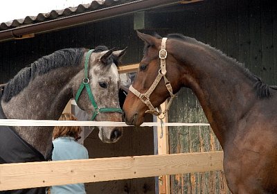 uw jeff zauberlied 0026 640x42...