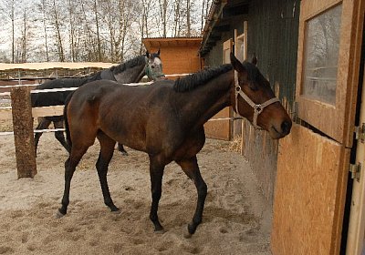 uw zauberlied 0038 640x426.jpg