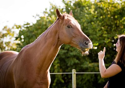 Aiakos & Nicole - Fotoshooting