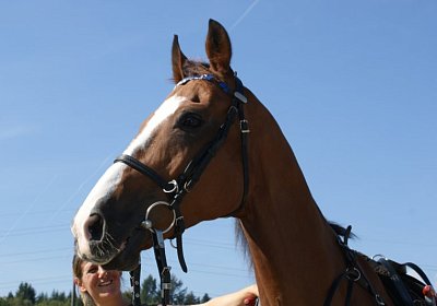 DSC08451 Noci Holziken 24sept13