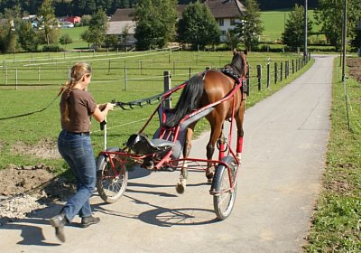 DSC08457 Noci Holziken 24sept13