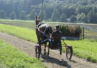 DSC08462 Noci Holziken 24sept13