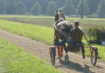 DSC08463 Noci Holziken 24sept13