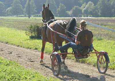 DSC08466 Noci Holziken 24sept13