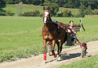 DSC08472 Noci Holziken 24sept13