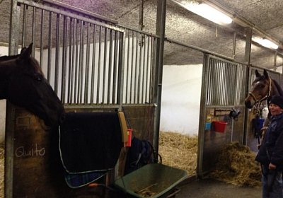 L Quito Landi 2(Kopie)