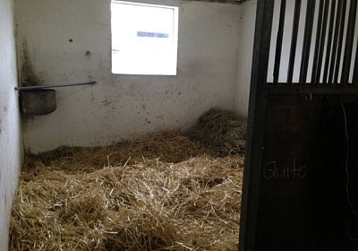 Quito D Stall 1(Kopie)