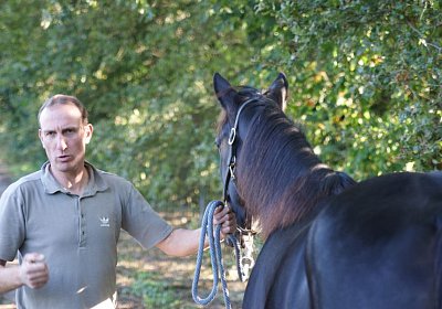 Timoa 26sept14 DSC06407