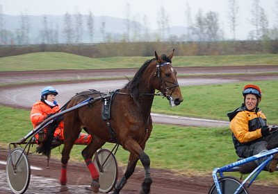 Av Belgino Noci 22maerz14 DSC03363
