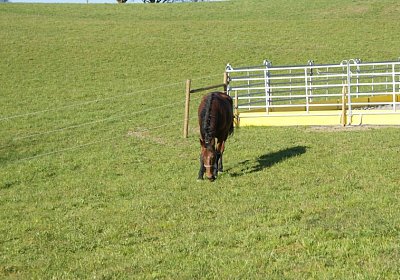 Prince 16Maerz 2014 DSC03283